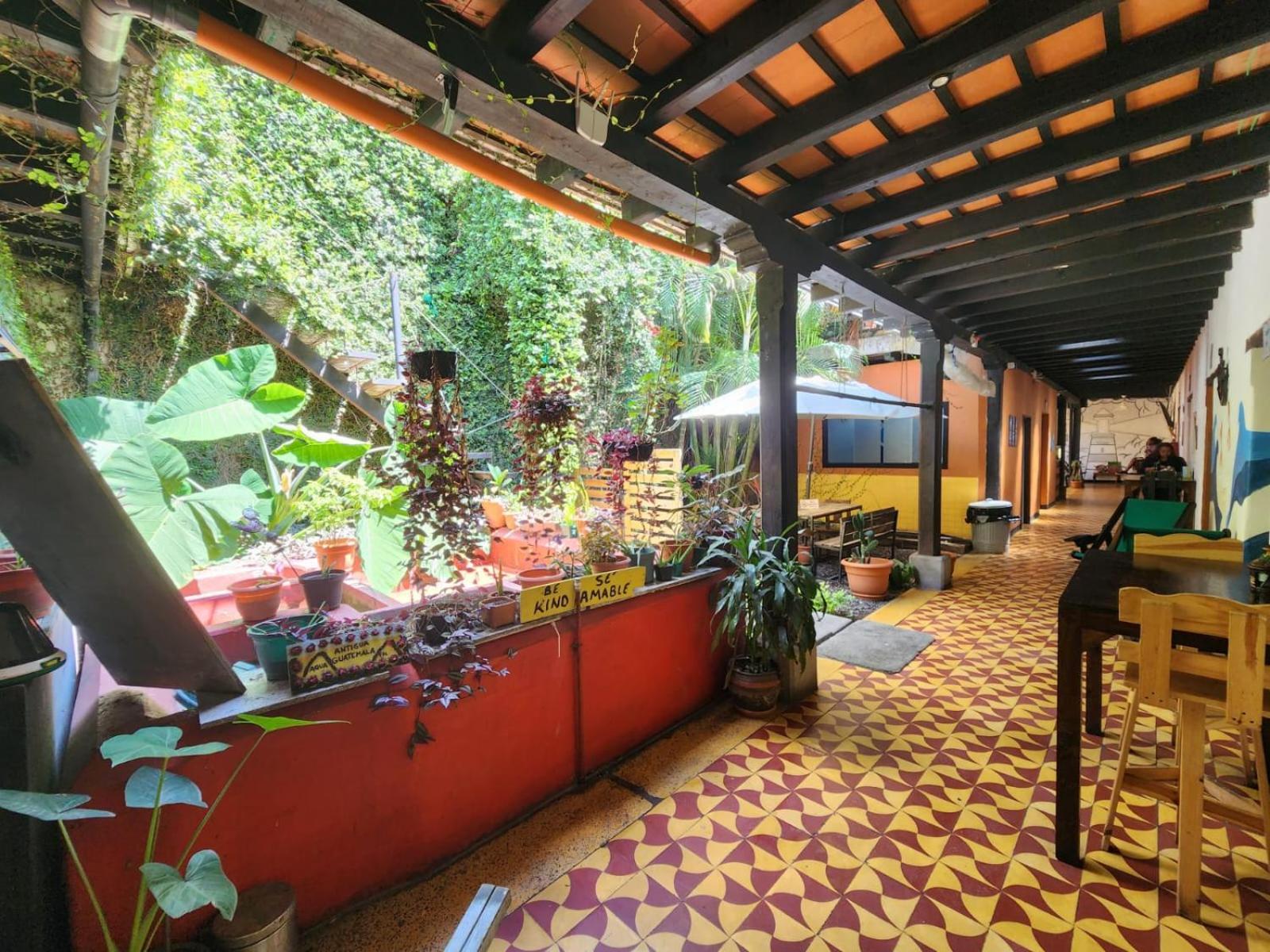 Amura Hostal Antigua Zewnętrze zdjęcie